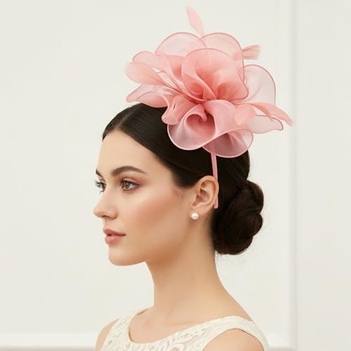 Image of DRESHOW Fascinators Hat Tea Party Headwear Ribbons Feathers on a Headband and a Clip for Women