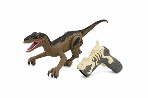 LEVE GbO(Kyosho Egg) LEVEGbO R/C [U[K_Ci\[ FLvg