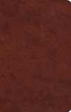 ESV Gift Bible (TruTone, Chestnut)