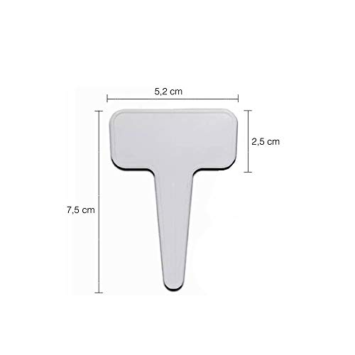 Kit Plaquinha Identificador de Plantas Vaso Cartela Papel