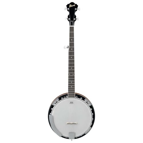 B50 5-String Banjo