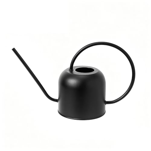 Bamworld Regadera Acero Inoxidable InteriorExterior para Plantas Hogar Regadera Pico Largo Plantas Interior Bonsái Jardín Exterior Flores Decorativa