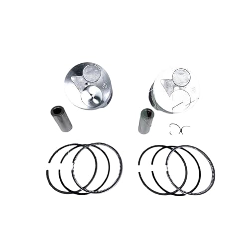 N{^fB[[Z482GWpSTD݊OtsXgLbgisNbvj