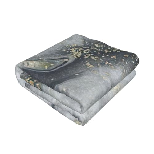 Couverture de lit EdWal microfibre pour sommeil réparateur