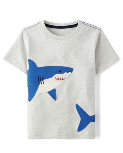 Image of Gymboree Boys and Toddler Embroidered Graphic T-Shirt