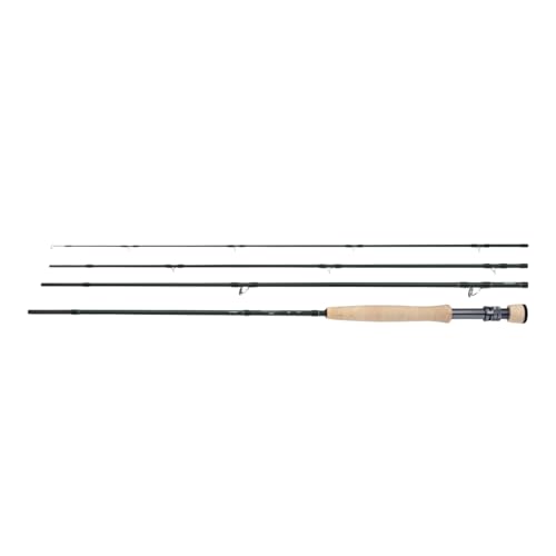 Rod Biocraft XR Fly Salt Wtr avec blank carbone anti corrosion