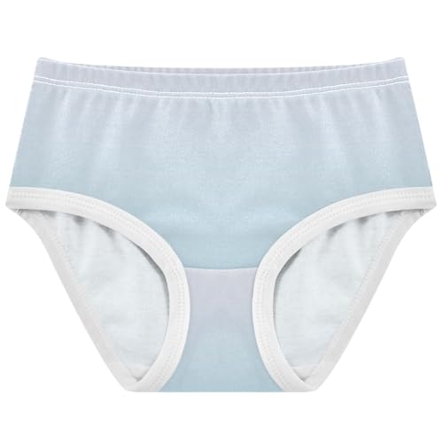 Magnolia Light Blue Gradient Girls Underwear Toddler 2t Cotton Panties for Girl Animal Briefs Undies Kids