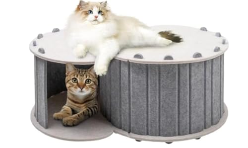 Riazdiwybggl@tFgBꓴAlGjo[Tϋv̂dwLnEXO\ (O[)