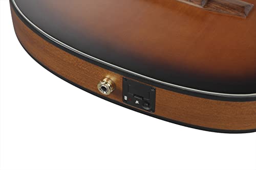 Ibanez FRH10NBSF Thinline Nylon Acoustic-electric Guitar - Brown Sunburst