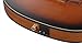 Ibanez FRH10N Thinline Nylon Acoustic-electric Guitar - Brown Sunburst