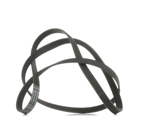 CONTITECH 5PK1788 Courroie Striée