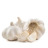 Easy to Grow Garlic 'White California' Plant Bulbs (3 Pack) - GMO Free Garlic Bulbs for Herb & Vegetable Gardens