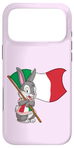 �C�^���A �E�T�M �X�}�z�P�[�X iPhone 17 Pro Max �p