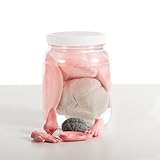 Growing Body Parts Jar, Anatomy Science Toy for Kids (1/2 Gallon)