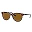 Havana/Brown Havana/Brown