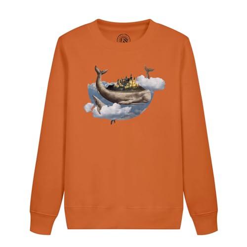 Sweatshirt enfant Château Baleine doux pour peaux sensibles motif ciel