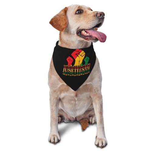 Pañuelo triangular ajustable para perro y gato