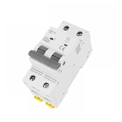 Disjoncteur CC MCB 125A 2P pour optimiser le stockage d'énergie et sécuriser votre réseau