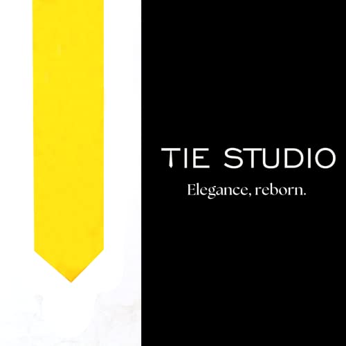 Image of TIE STUDIO Mens Formal Neckties| Standard Size | Premium fabric | Superior finishing| Packaging - Folder | Set of 1