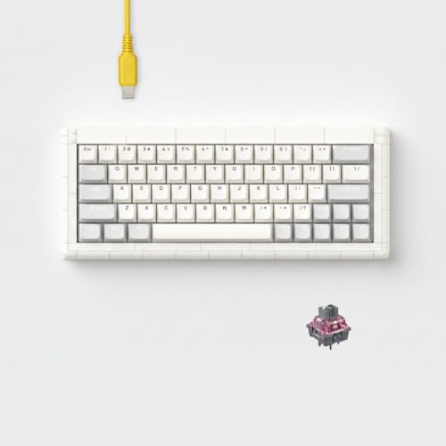 KBDcraft 01Adam 60% Mechanical Keyboard, 64-Key ANSI...