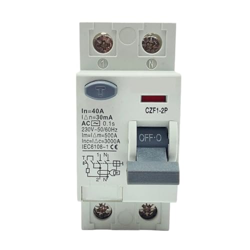 Disjoncteur différentiel 2P 40A 30mA 220V CA interrupteur de protection domestique pour tableau