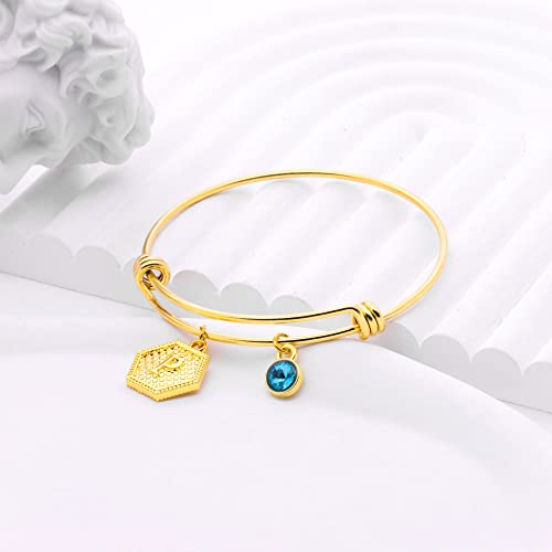 Suonie 18K Gold Plated Bangles,26 Letters Initial Hexagon Pendant Adjustable Bangles,Women Charm Bracelet Bangles,Blue Rhinestone Bracelet For Girls Teenage Birthday Christmas Gifts (P) #TOP4