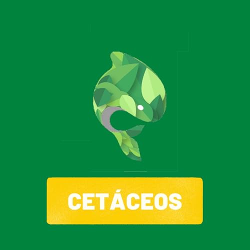 CET&Aacute;CEOS #2 copertina