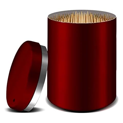 Stainless Steel Toothpick Holder with Bamboo Picks Cover