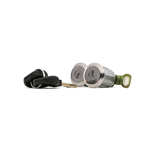 Cylindres de fermeture de porte FT94152 FAST pour auto Citroën Xsara