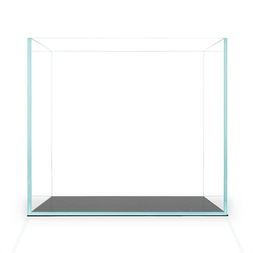 Aqua Worx 1 Gallon Rimless Fish Tank - 6.29 x 6.29 x 6.29 Inches Cube Style Aquarium - Clear Glass, Space Saving, Durable