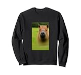 8.5 oz, Klassisch geschnitten Cooles Comic-Porträt von Capybara, niedlicher Tier-Zeichenkopf Sweatshirt