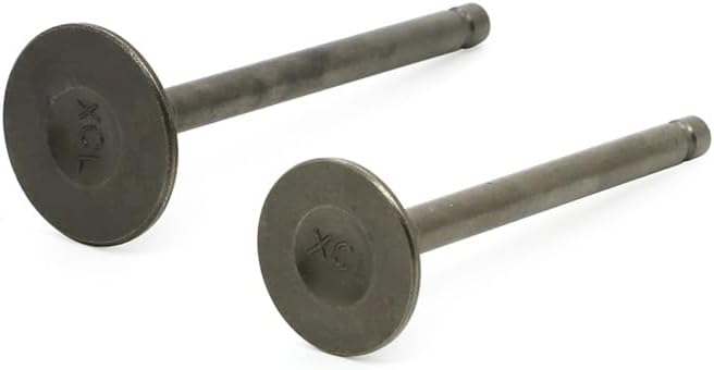 Motorcycle Engine Intake Valves Seals for Yamaha for Grizzly Raptor 80 YFM80 YFM 80 Badger 80 Raptor 80 YFM80W YFM100