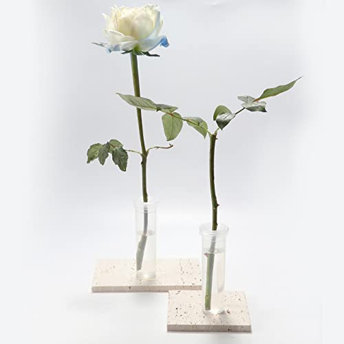 AIEX 6 Pezzi Tubi per Fiori con Coperchio