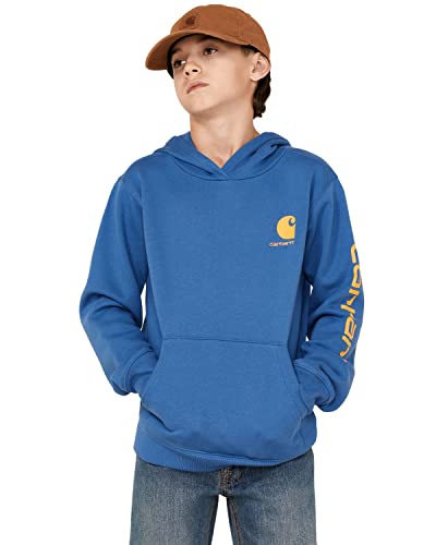 Carhartt Boys' Long-Sleeve Hooded Graphic Sweatshirt, Bright Cobalt, X-Large (18/20) #TOP15