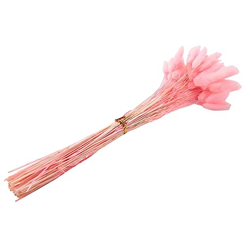 60 flores secas Lagurus Ovatus rosa para decoración miniatura 1