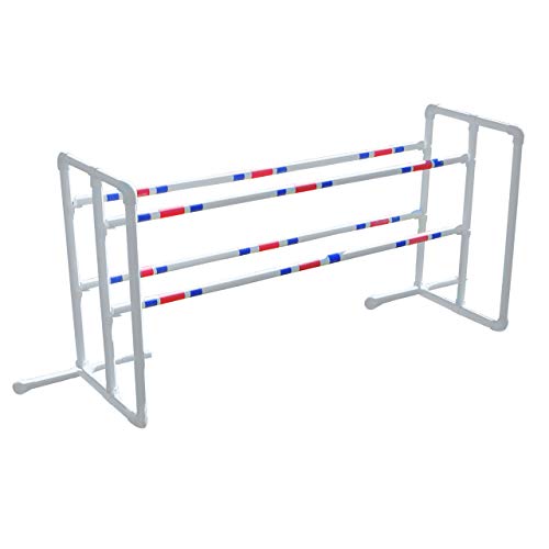 Affordable Agility Double Jump