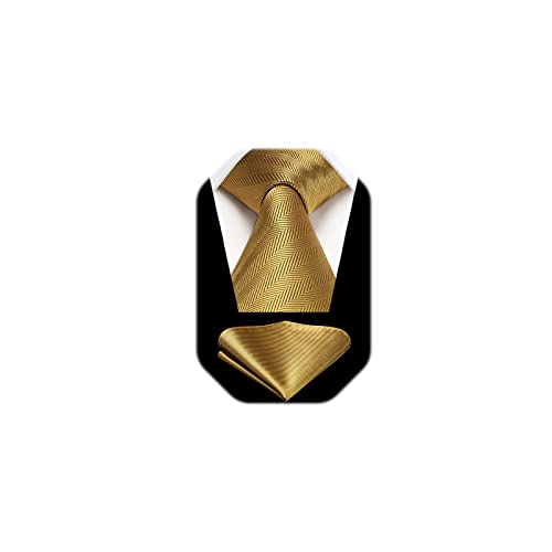 HISDERN Gold Ties for Man Formal Mens Ties and Pocket Square Set Silk Striped Classy Necktie Handkerchief for Wedding Business Graduation School Party