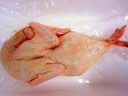  ۂǂ 1H2.1~2.4kg ya̎RYz@①i