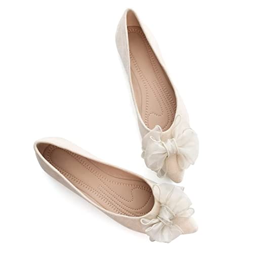 TN TANGNEST Womens Ballet Flats Fashion Bowknot Flats Comfort Pointed Toe Dress Shoes Apricot 42(9)3