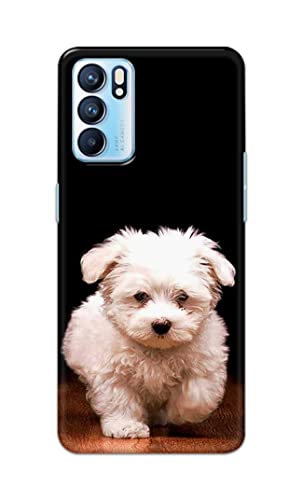 Image of PRINTFIDAA� Printed Hard Back Cover Case for Oppo Reno6 5G | Oppo Reno 6 5G Back Cover (Puppy Dog) -2808