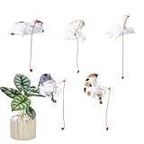 Estatua de Gato para Exteriores, decoración de temática de Tallada a Mano, 5 Piezas - Linda Escultura de Gato, para Familia, Amigos, Mujeres, Adultos, hogar, Negocio, Escritorio, Aqua