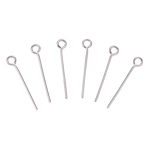 DanLingJewelry Approx 200 Pcs 304 Stainless Steel Head Pins 24-Gauge
