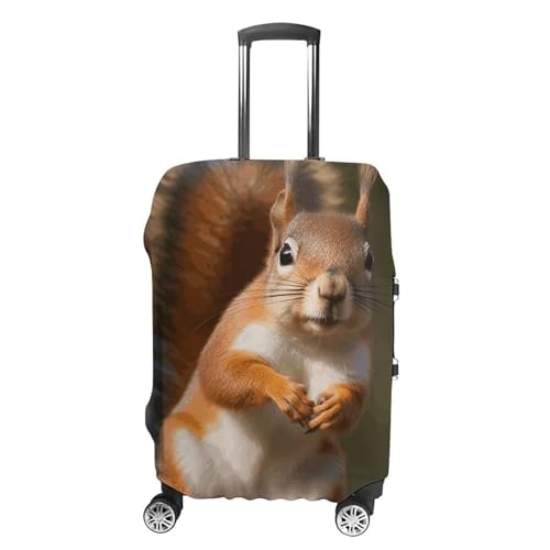 Carry on Luggage Cover Squirrel Funny Animal Suitcase Covers for Luggages Tsa Approved Travel Luggage Sleeve Protector Elastic Suitcase Protector Anti-Scratch Washable Fits 19-30 Inch Case -M