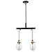 Vaxcel Kassidy 2L Black Industrial Linear Teardrop Chandelier Island Pendant Light Fixture Clear Glass