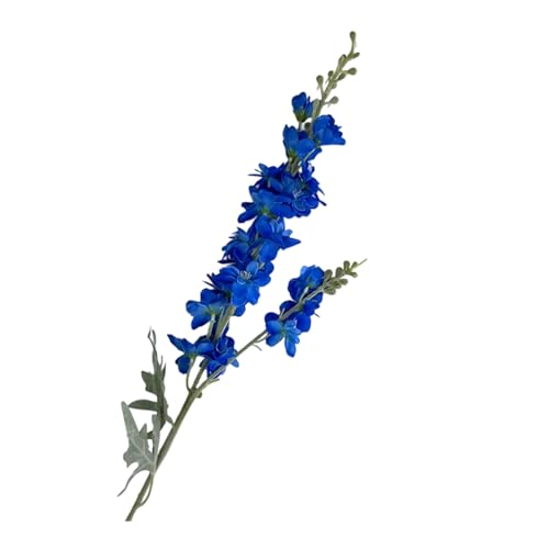 oCIbg tFCN t[ AWg  ZvV fR[V ȒP eiX z[ p[eB[ fBXvC t[ t[AWg