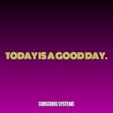 Conscious Systems