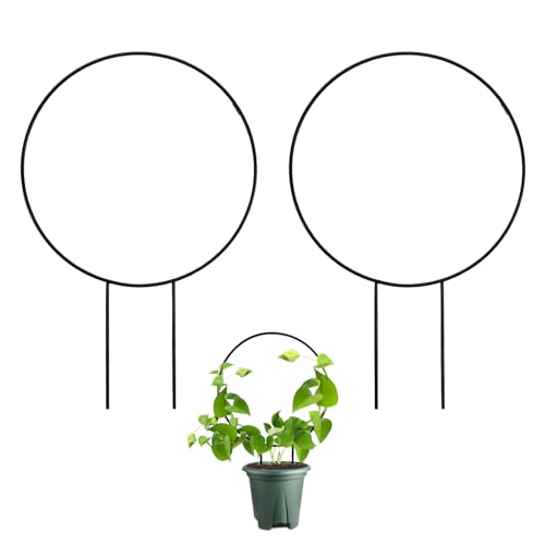 Huakaile 2 Pack Small Trellis for Potted Plants Climbing, 13.7 Outdoor Indoor Plant Trellis, Stackable Garden Plant Climber Support, Metal Houseplant Trelli Stakes for Vine Ivy Flowerpot (Round)