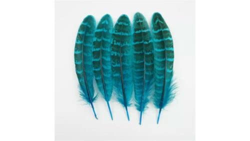 HoitoDeals 10Pcs Turquoise Small Pheasant Feathers for Clothes Peacock Feather Natural Feathers for Crafts Wedding Carnaval Assesoires 10-15cm