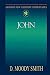 John (Abingdon New Testament Commentaries)