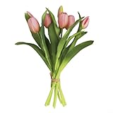 Beauté nécessitant peu d'entretien : essuyez doucement avec un chiffon humide pour garder les pétales frais. Pas d'arrosage, d'élagage ou de lumière du soleil nécessaire, vous donnant un plaisir toute l'année avec un minimum d'effort.